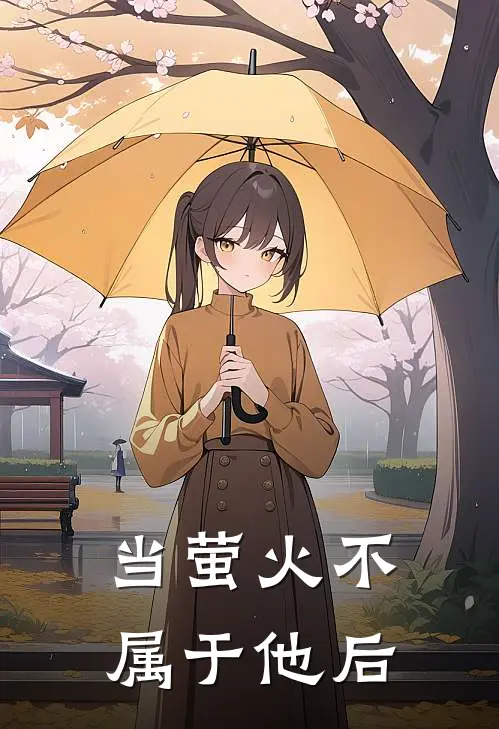 当萤火不属于他后(林萤宋迟砚)在线免费小说_完结小说免费阅读当萤火不属于他后林萤宋迟砚